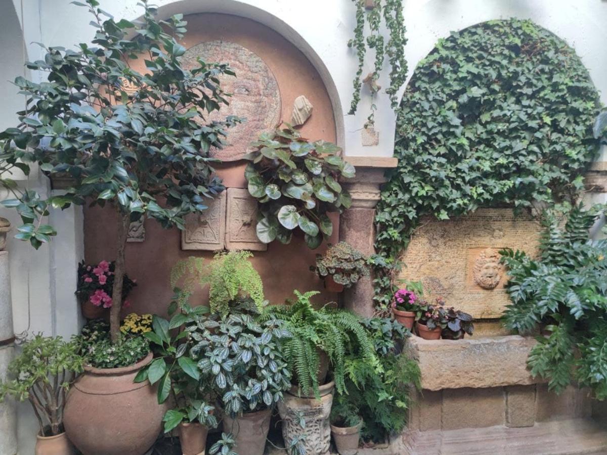 El Capricho De San Fernando, Consigna Gratis Y Parking A 200Mts Apartment Cordoba Exterior photo