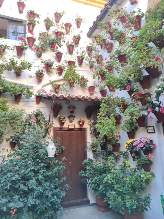 El Capricho De San Fernando, Consigna Gratis Y Parking A 200Mts Apartment Cordoba Exterior photo